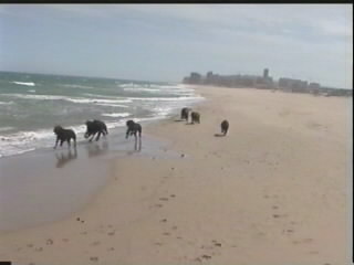 Alicante strand 2